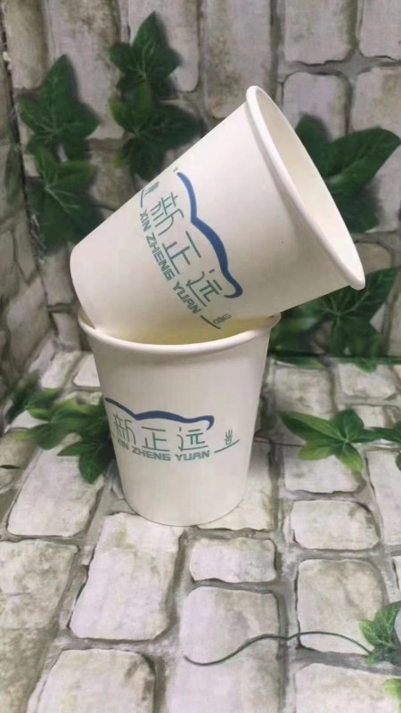 9盎司纸杯
